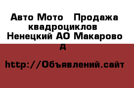 Авто Мото - Продажа квадроциклов. Ненецкий АО,Макарово д.